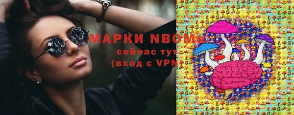 молекула духа Семилуки