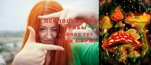индика Семёнов
