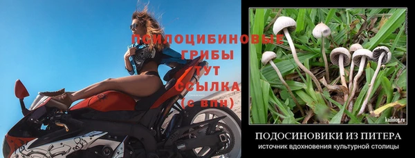 бутират Семикаракорск