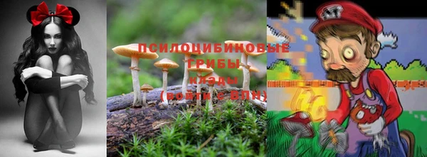 мдпв Елизово