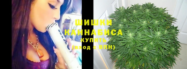мдпв Елизово