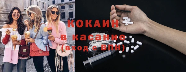 мдпв Елизово
