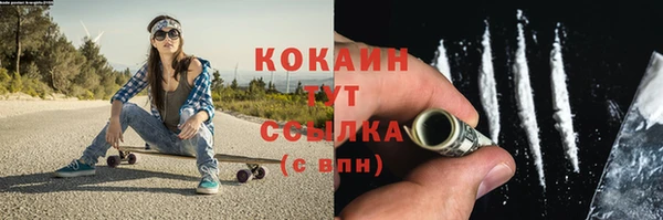 молекула духа Семилуки