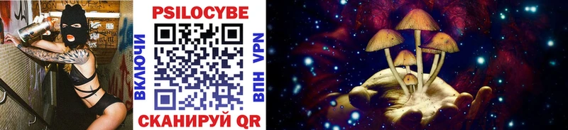 Псилоцибиновые грибы Cubensis  Теберда 